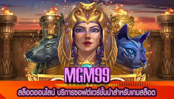 สล็อตออนไลน์ บริการซอฟต์แวร์ชั้นนำสำหรับเกมสล็อต